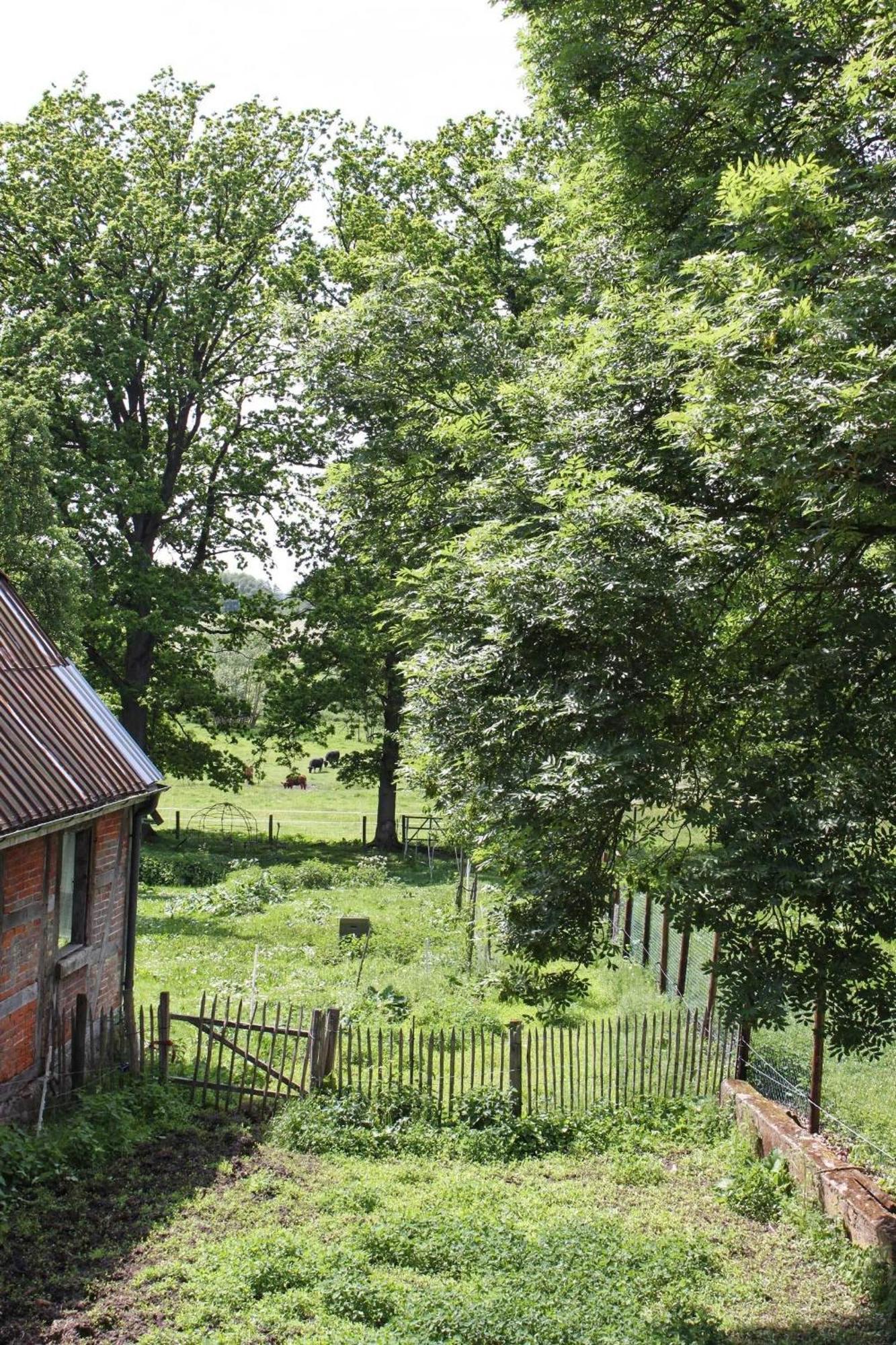 Ferienwohnung Auf Der Ruebenburg Barnsen Kültér fotó